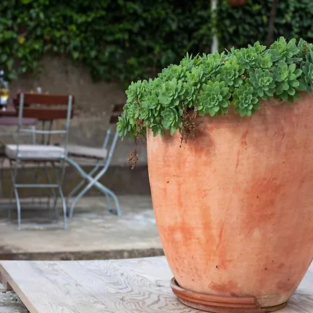 Maro & Baro - Maro * Дубровник