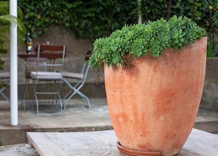 Maro & Baro - Maro * Dubrovnik